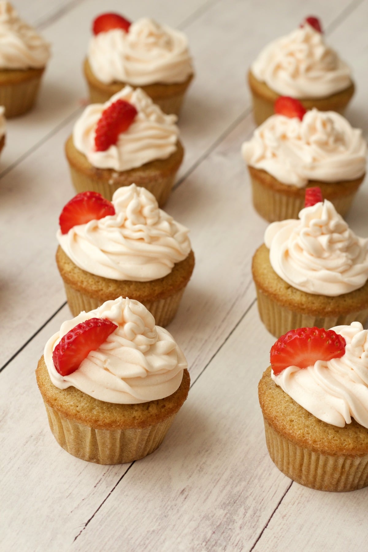 Cupcakes végétaliens à la vanille, glaçage boréal au sapin baumier
