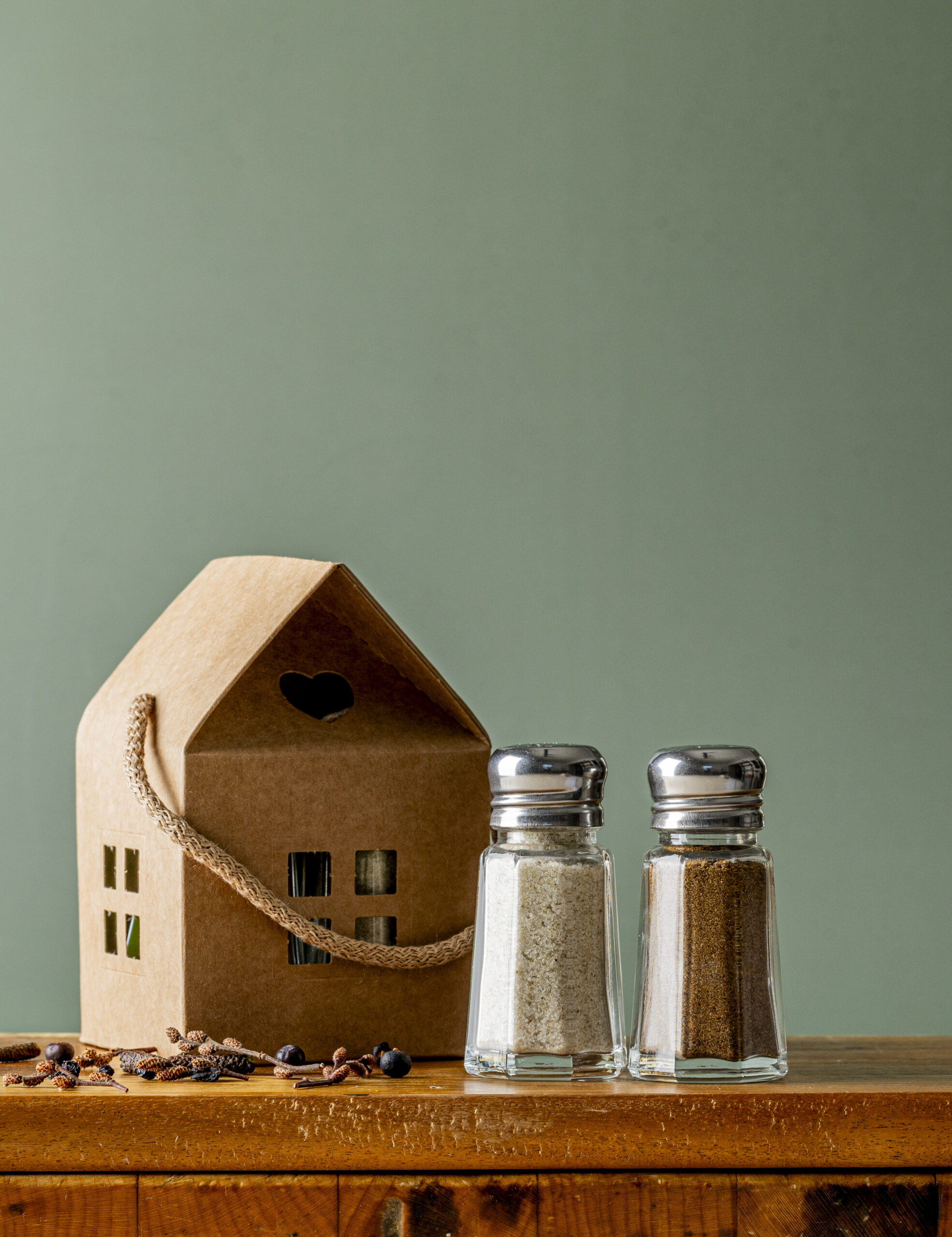 Duo forestier salière et poivrière de style vintage